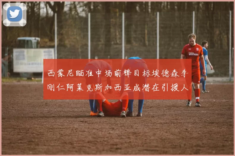 西蒙尼瞄准中场前锋目标埃德森李刚仁阿莱克斯加西亚成潜在引援人选
